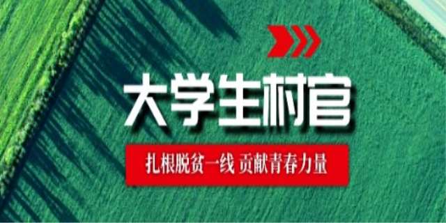 大学生村官每年什么时候可以报考