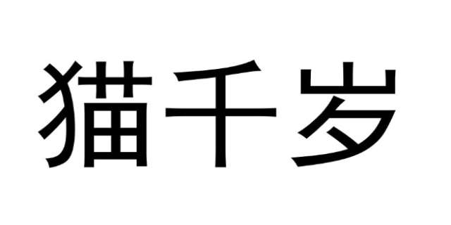 猫千岁注册会计师网盘链接